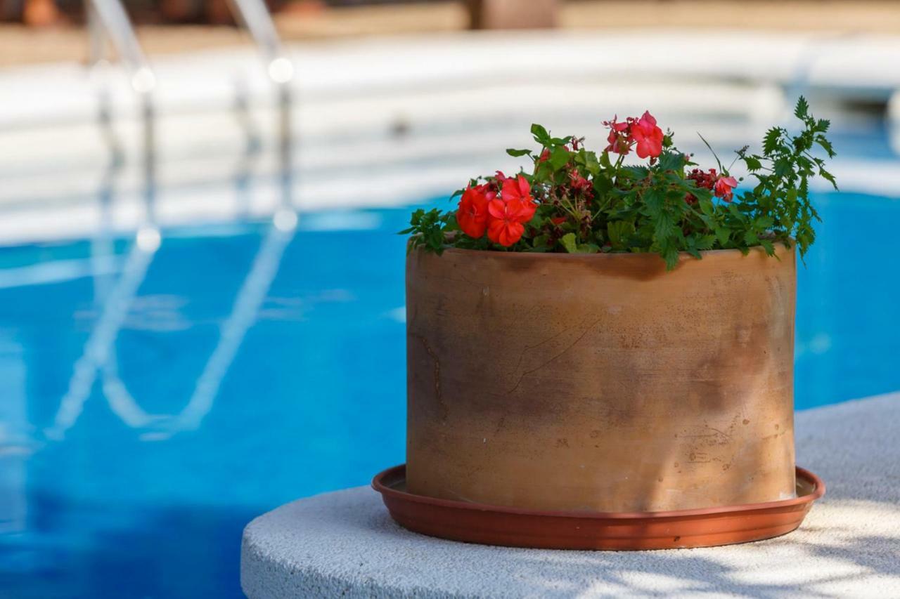 Casita Las Malvinas En Villa De Nijar Con Piscina Εξωτερικό φωτογραφία